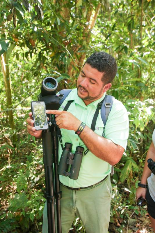 Epic Adventures guide showing wildlife through a spotting scope in the rainforest