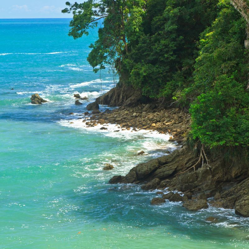 Manuel Antonio National Park | Costa Rica Ecotourism