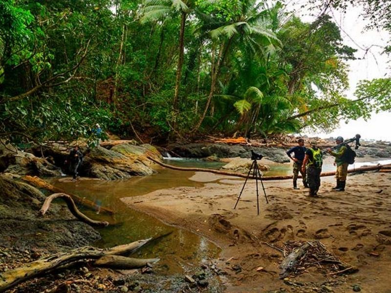Paseo por la Naturaleza del Parque Rainmaker