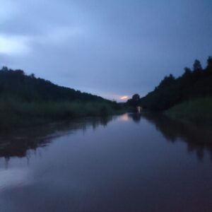 damas-mangroves-night-tour