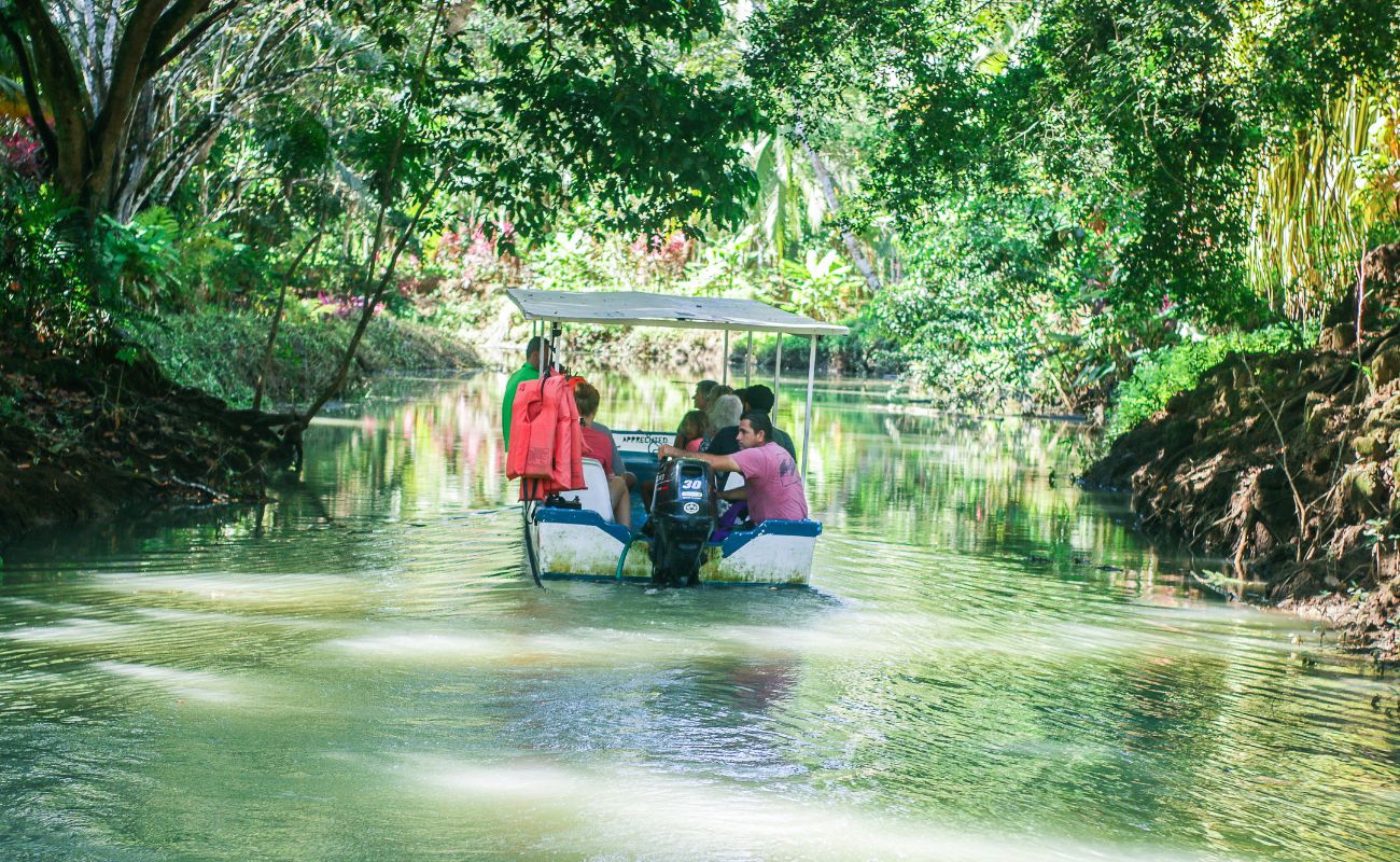 Damas Island Mangrove Tour
