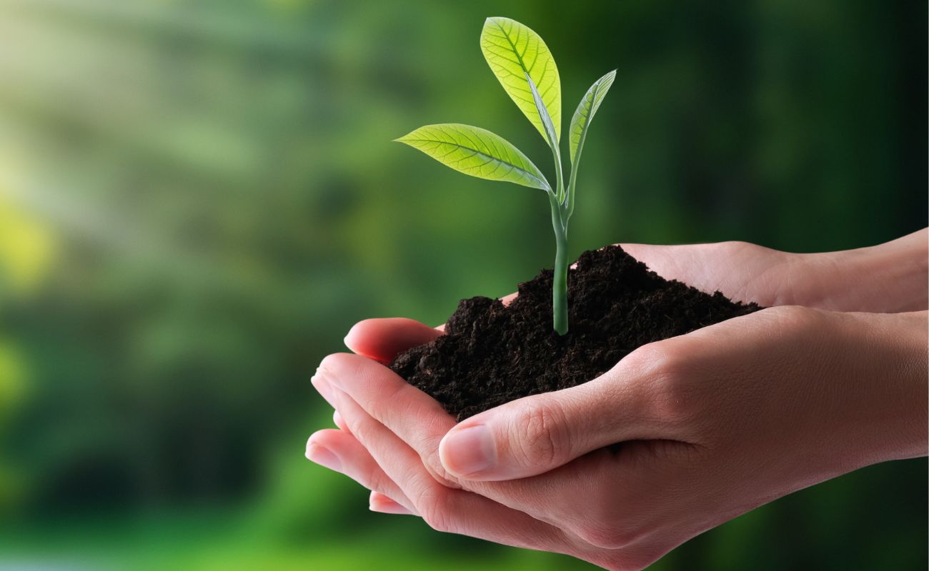 Earth Day in Costa Rica