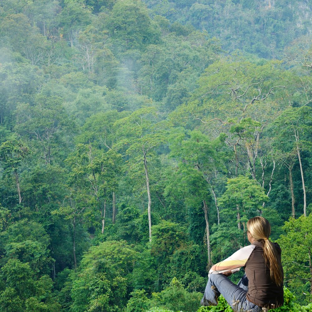 Wildlife Spotting in Manuel Antonio