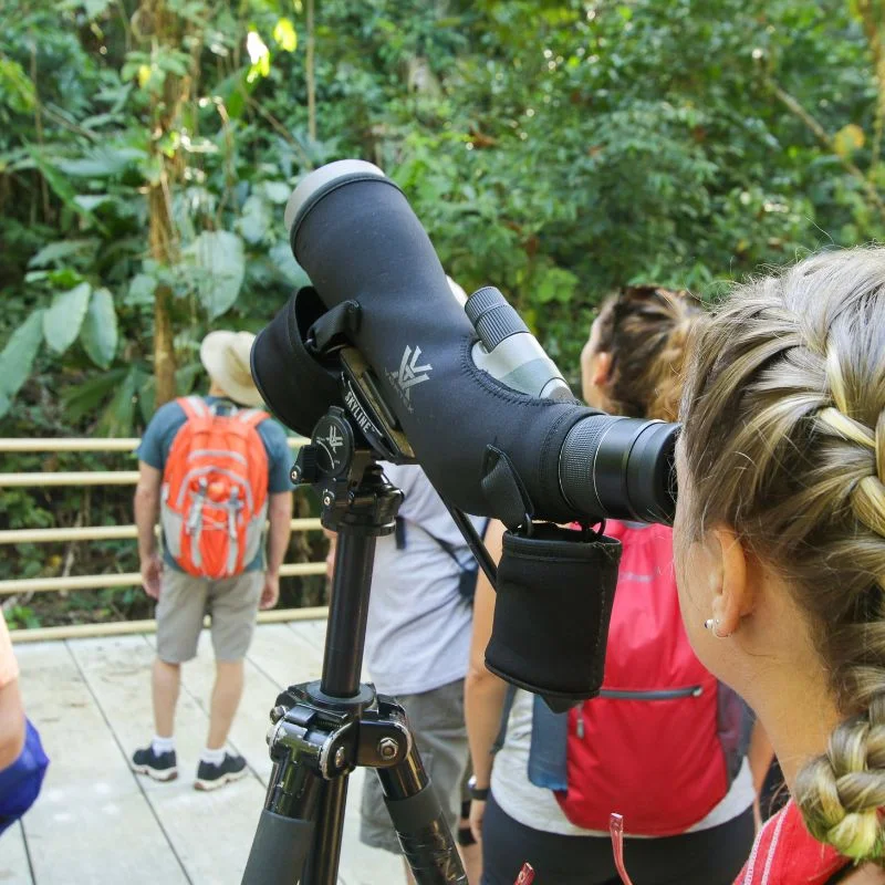 Equipo óptico de primera en un safari por la selva de Manuel Antonio