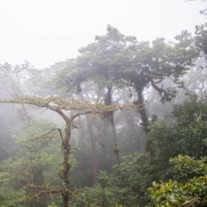 Best Destinations in Costa Rica