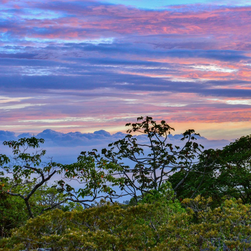 Costa Rica Microclimate Costa Rica Microclimate