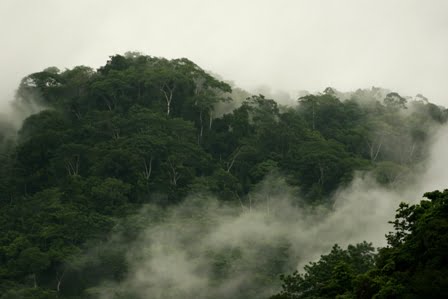 Costa Rica in the rainy season