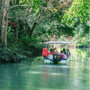 isla-damas-mangrove-boat-tour