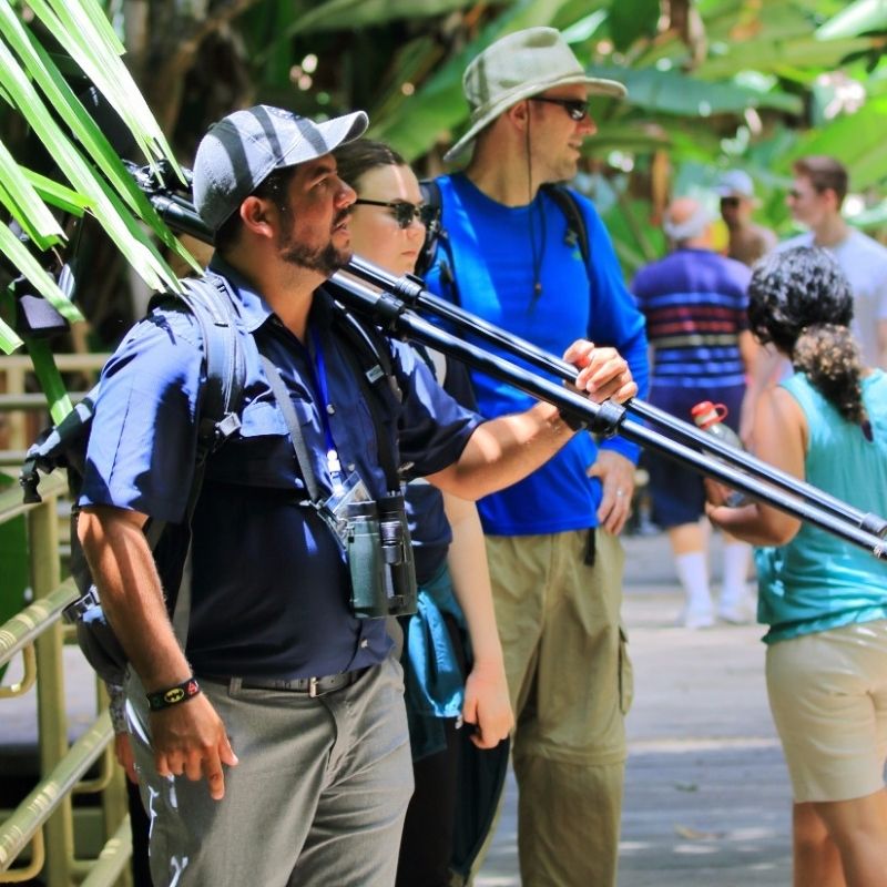 Tips for Solo travelers in manuel Antonio