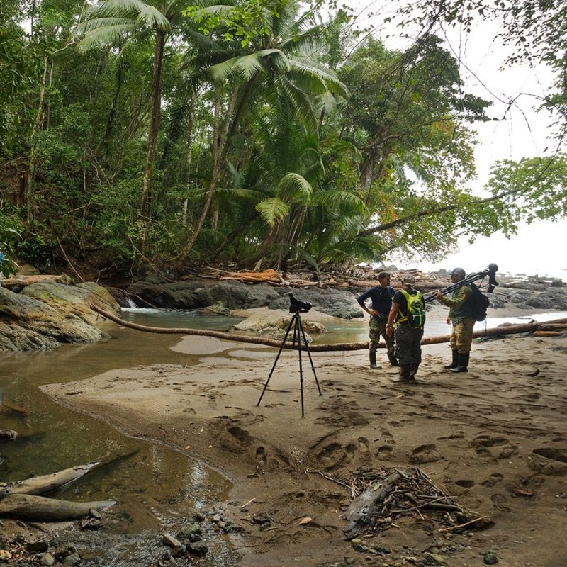 Corcovado National Park