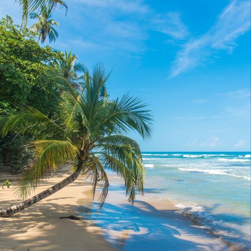 Costa Rica Differences: Pacific or Caribbean | Epic Adventures.