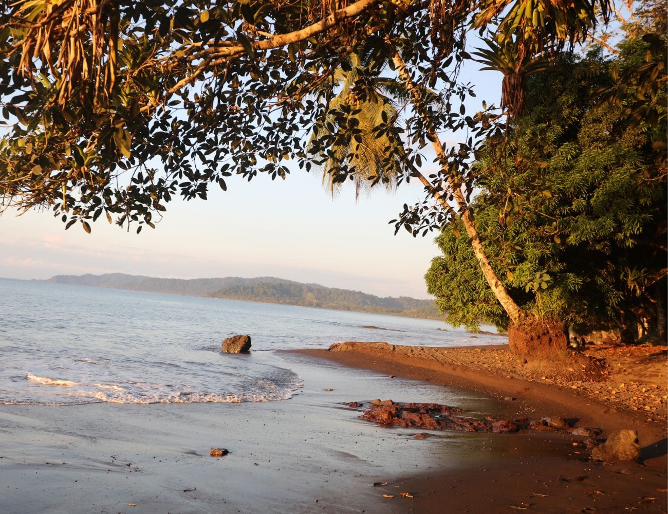 Corcovado National Park
