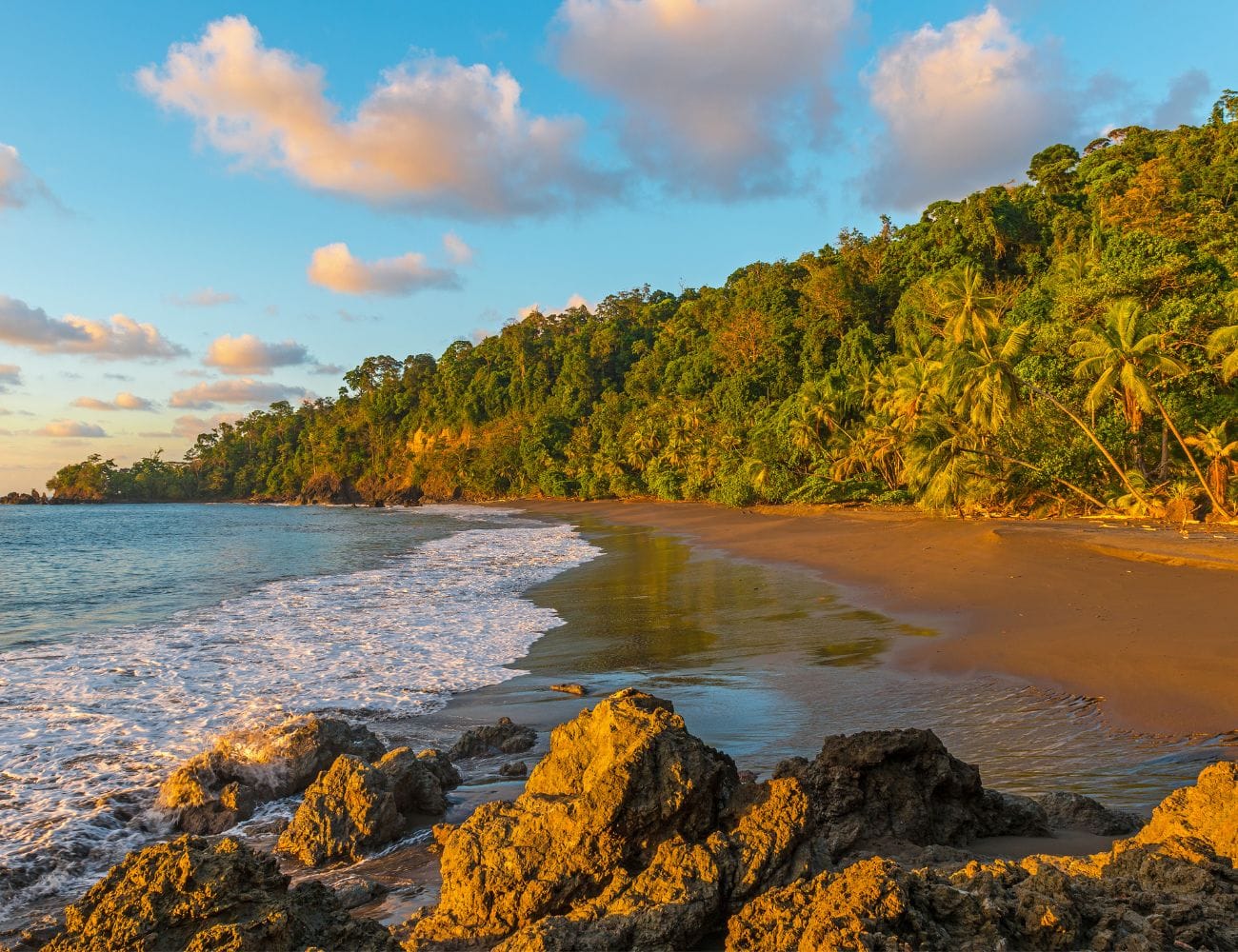 Corcovado National Park