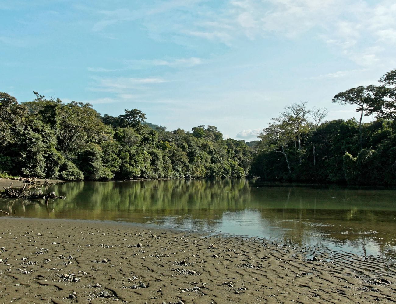 Corcovado National Park