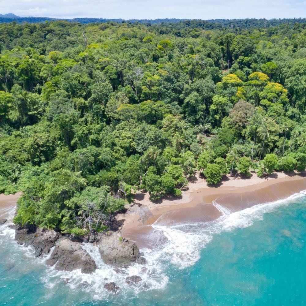 Alternative Activities Near Manuel Antonio