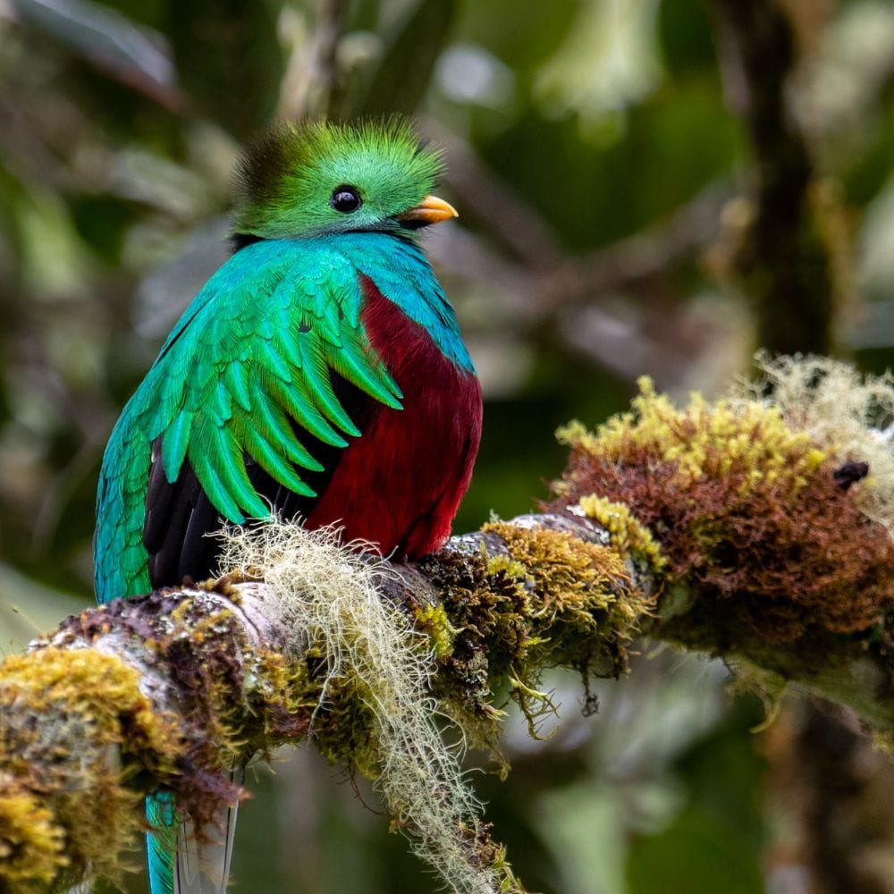 Where is Manuel Antonio | Costa Rica Best Itinerary