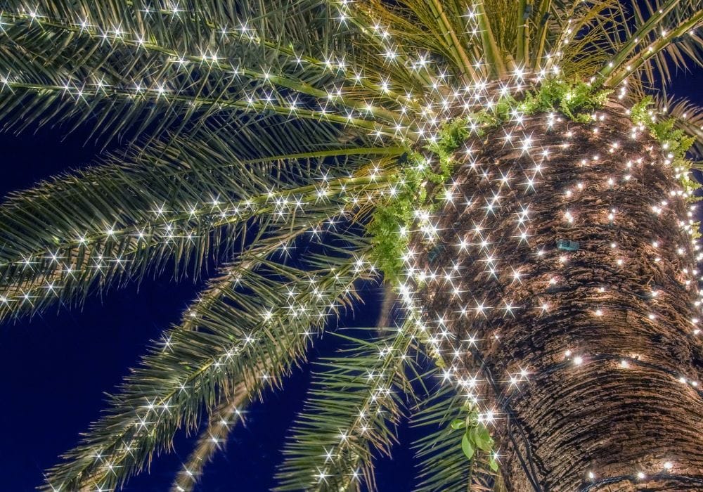 Navidad costarricense  