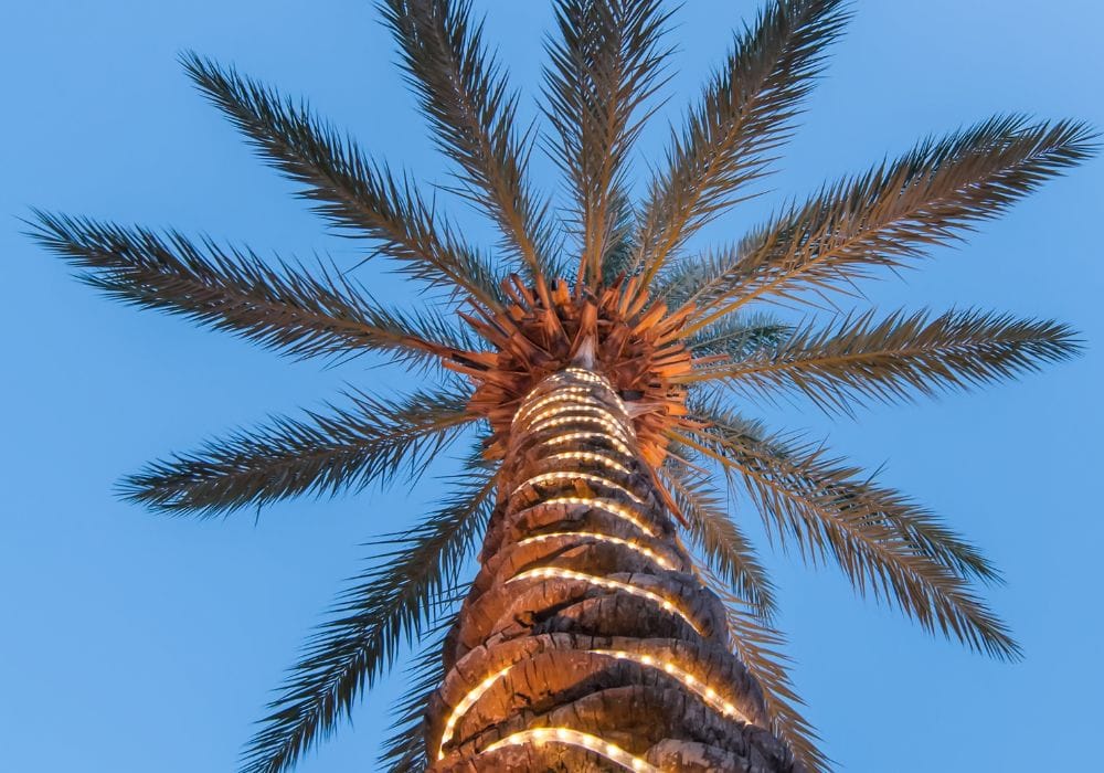 Christmas in Costa Rica