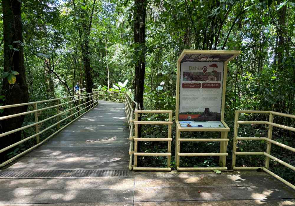 Guided tours in Manuel Antonio