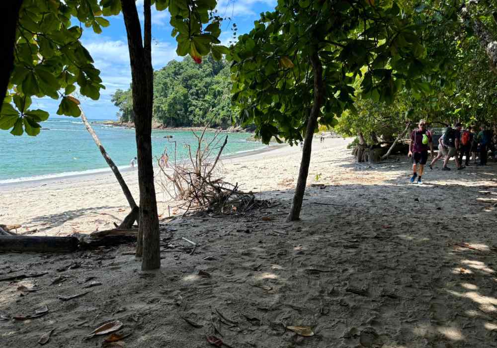 Guided tours in Manuel Antonio