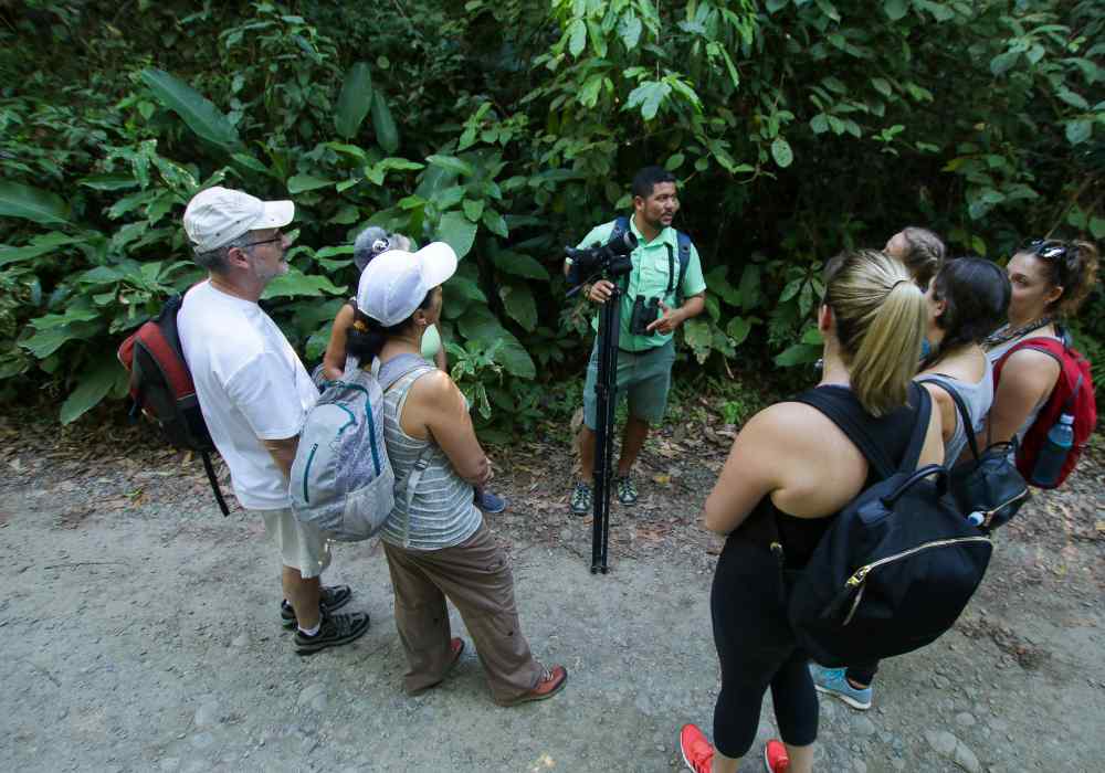 Visitas guiadas en Manuel Antonio