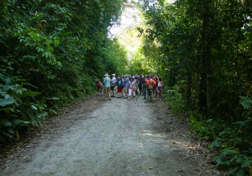 Guided tours in Manuel Antonio