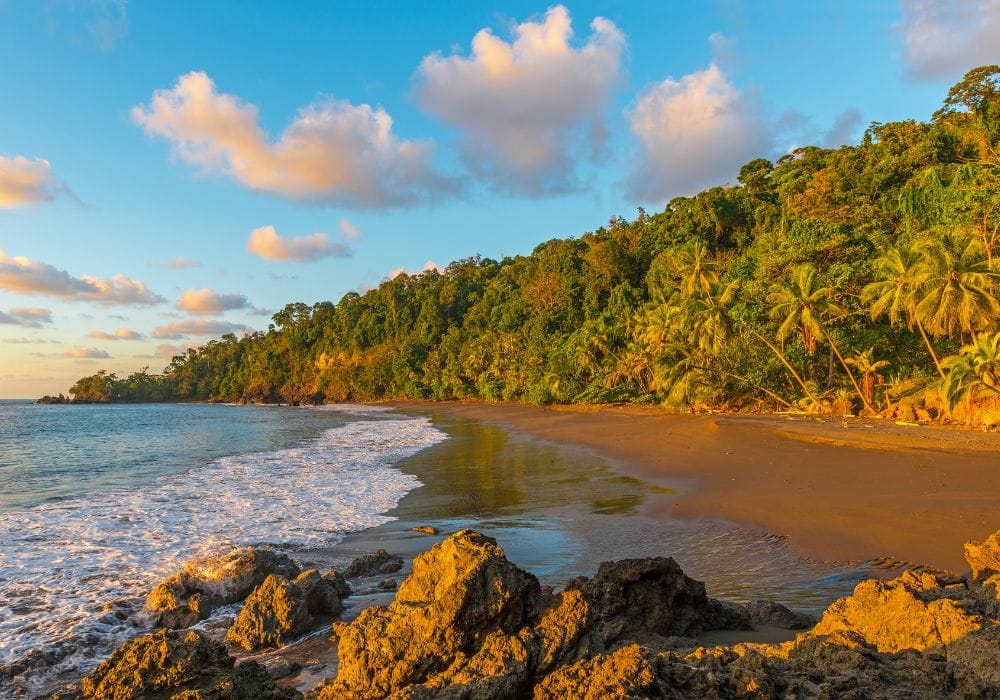 Corcovado National Park 