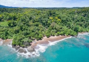 Corcovado National Park Wildlife