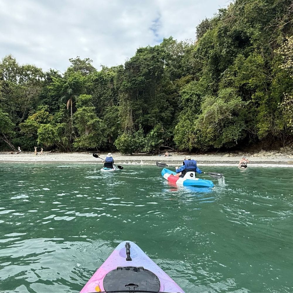 Wildlife Watching Tours for Families in Manuel Antonio