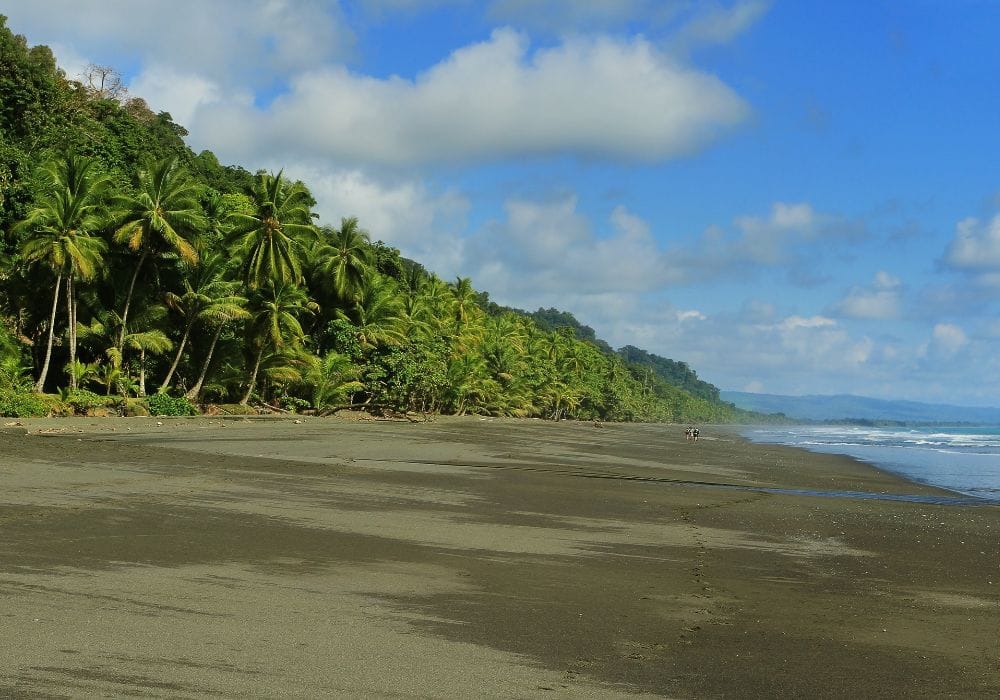 guided rainforest tours beyond Manuel Antonio