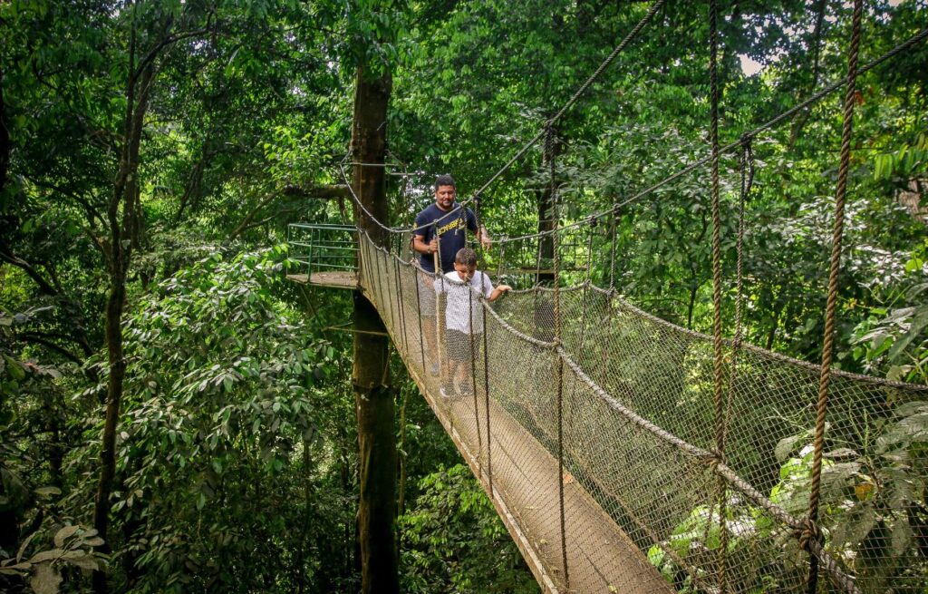 No matter which experiences you choose, you'll discover Costa Rica's wild beauty in ways few tourists ever do. From misty cloud forests to sparkling bioluminescent waters, every adventure reveals new dimensions of this ecological wonderland. Ready to trade well-trodden paths for authentic wilderness encounters? Our expert guides are standing by to craft your perfect nature itinerary - whether you crave heart-pounding rainforest treks, serene kayak journeys, or after-dark wildlife spectacles. [Book Your Private Tour Today] and experience the real Costa Rica beyond the guidebooks!