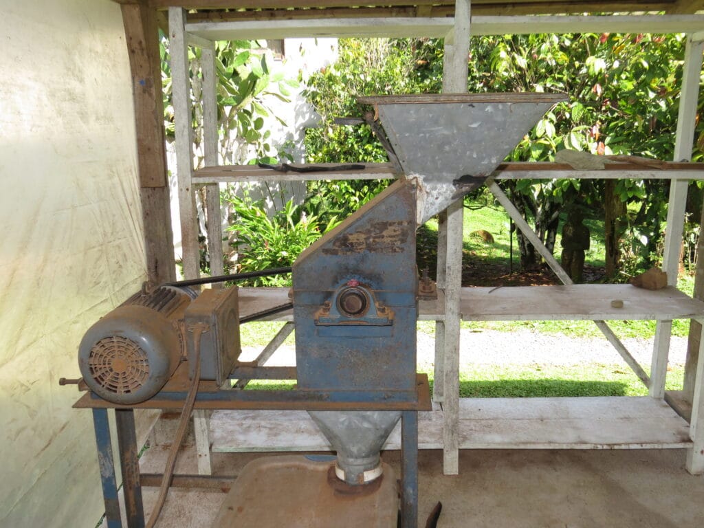 Vanilla Plantation Experience in Costa Rica