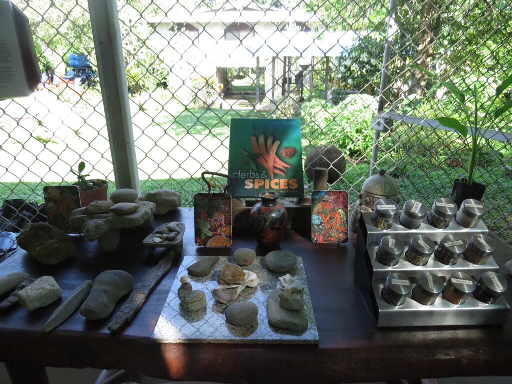 Vanilla Plantation Experience in Costa Rica