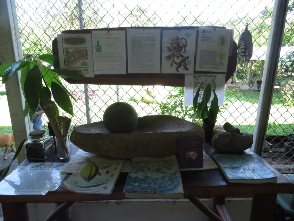 Vanilla Plantation Experience in Costa Rica