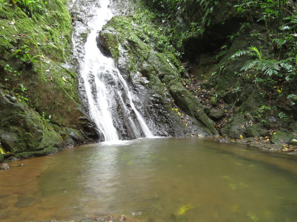 Rainmaker Conservation Park
