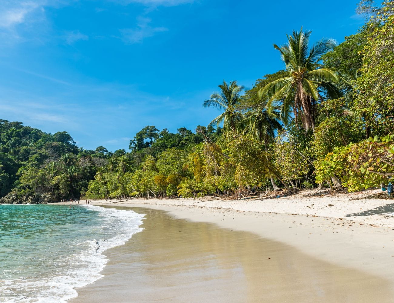 Manuel Antonio and Quepos