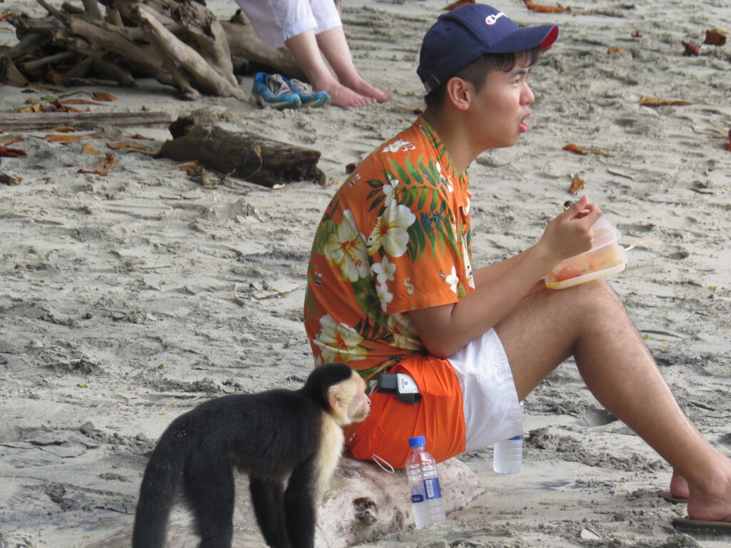 Safety in Quepos and Manuel Antonio