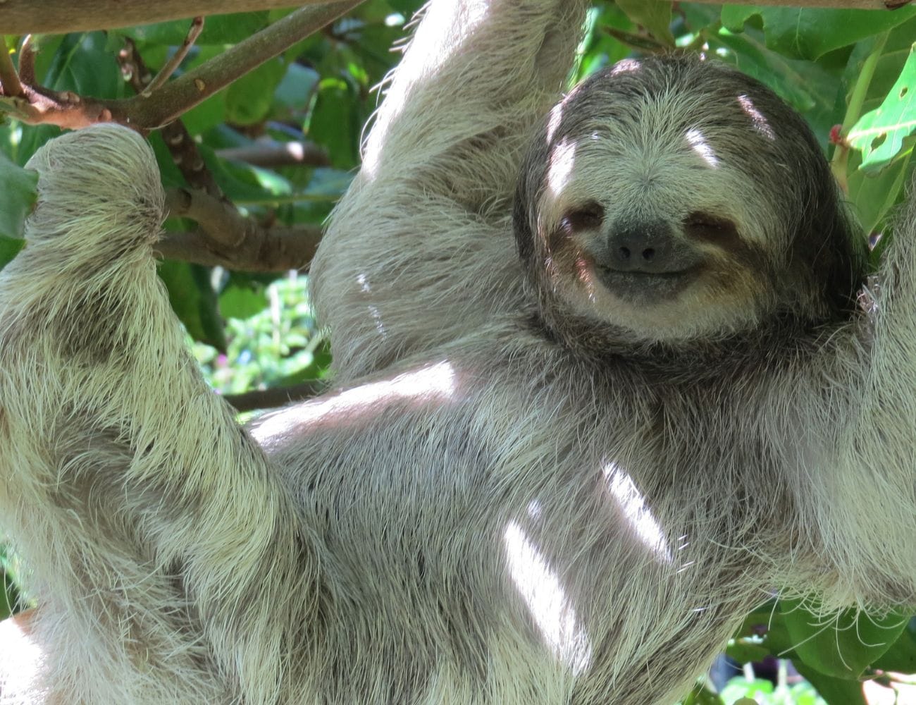 Wildlife Watching Tours for Families in Manuel Antonio