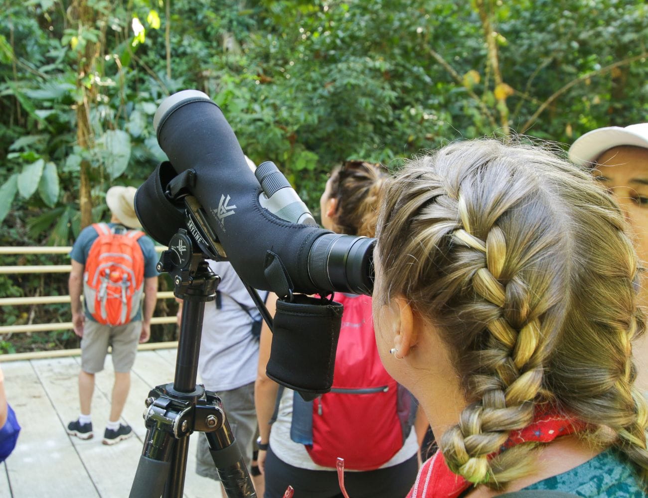 Wildlife Watching Tours for Families in Manuel Antonio
