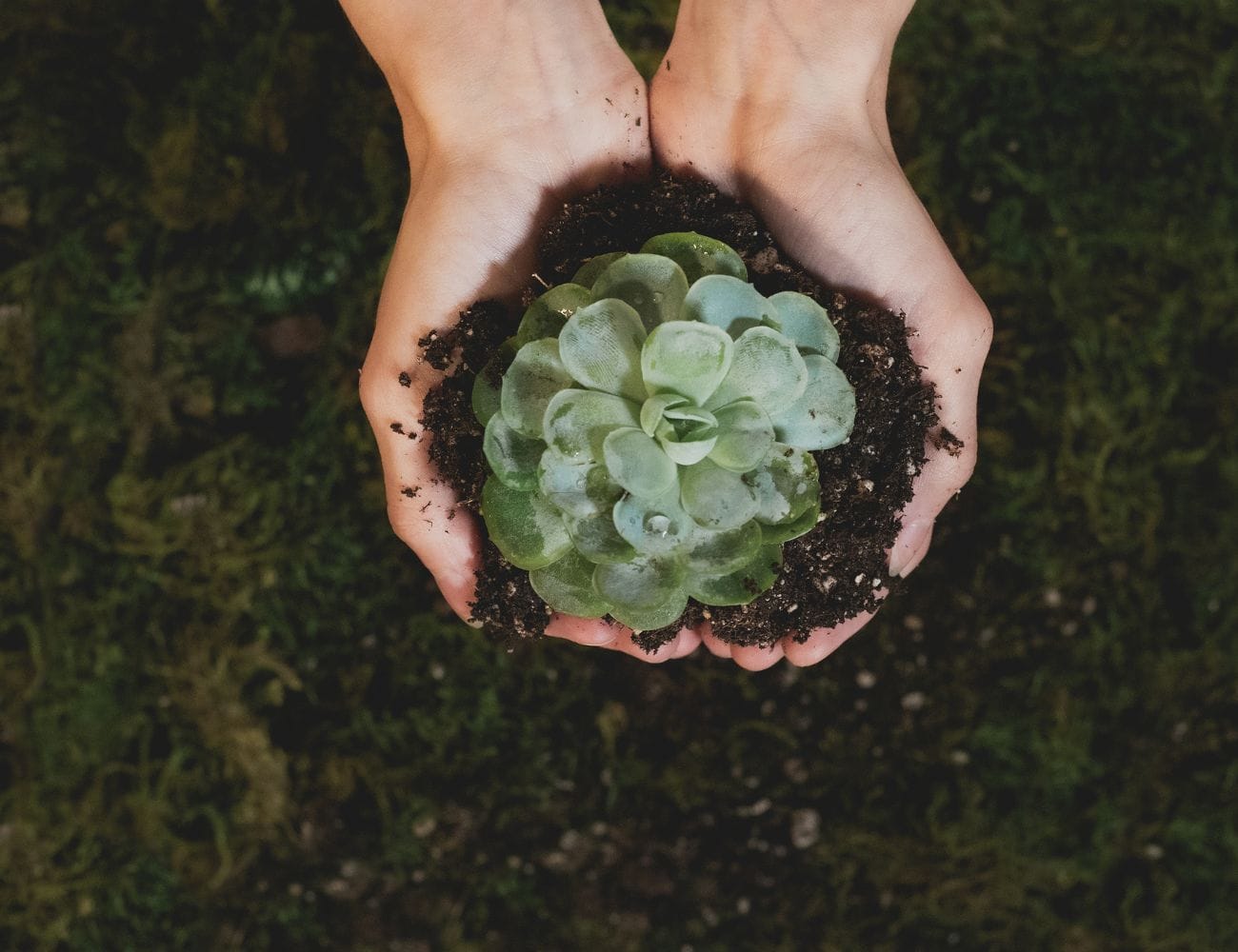 sustainable tourism in Costa Rica