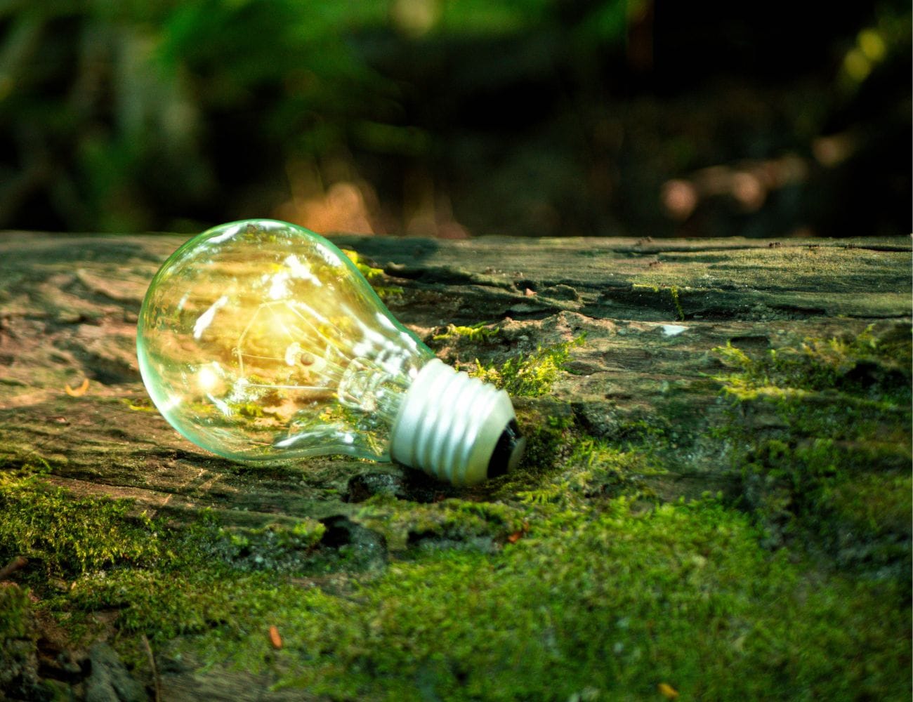 sustainable tourism in Costa Rica