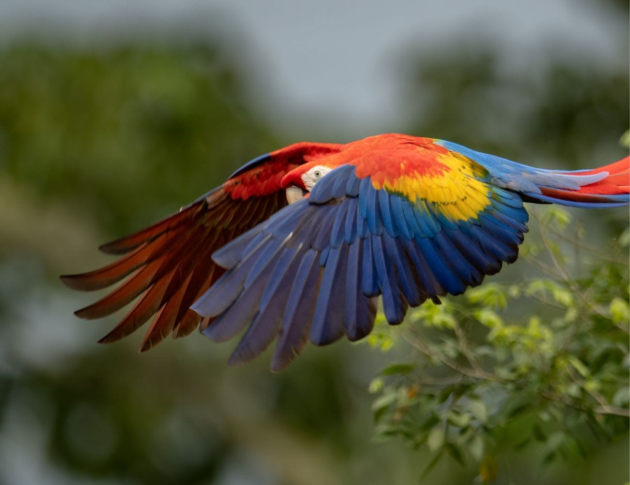 ¿Es seguro visitar Costa Rica para los estadounidenses?