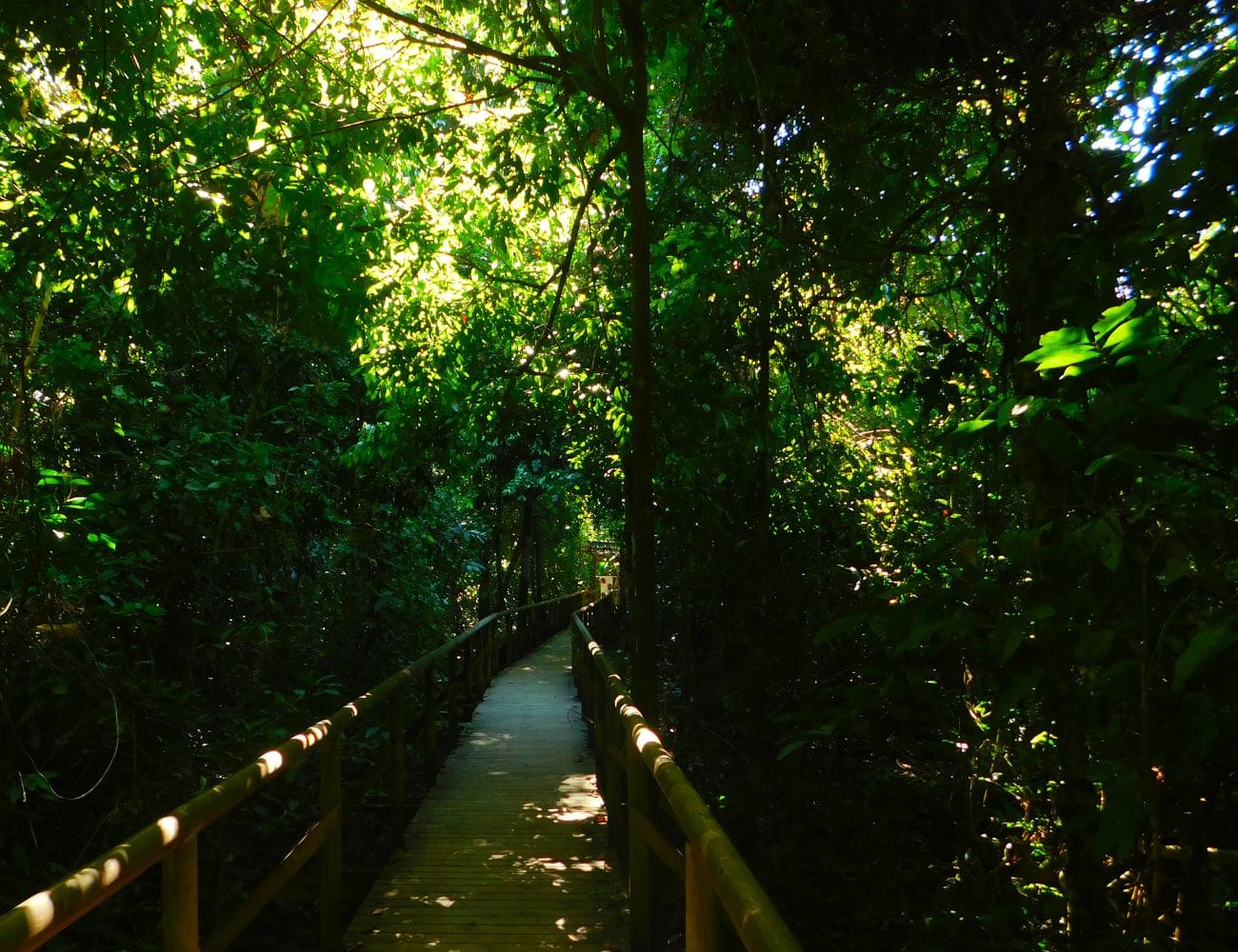 consejos para visitar el Parque Nacional Manuel Antonio Costa Rica
