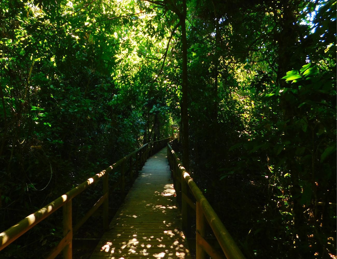 Experiences in Manuel Antonio