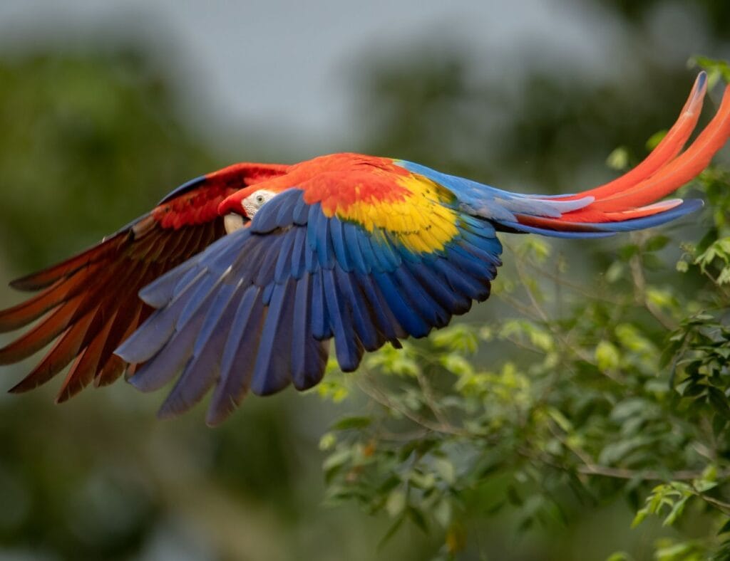 Noticias de Costa Rica Noticias de Costa Rica