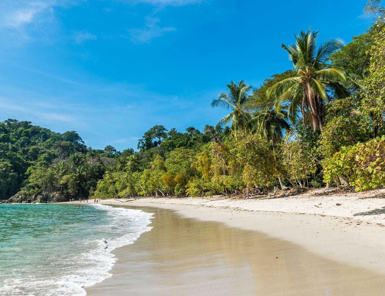 News from Costa Rica News from Costa Rica