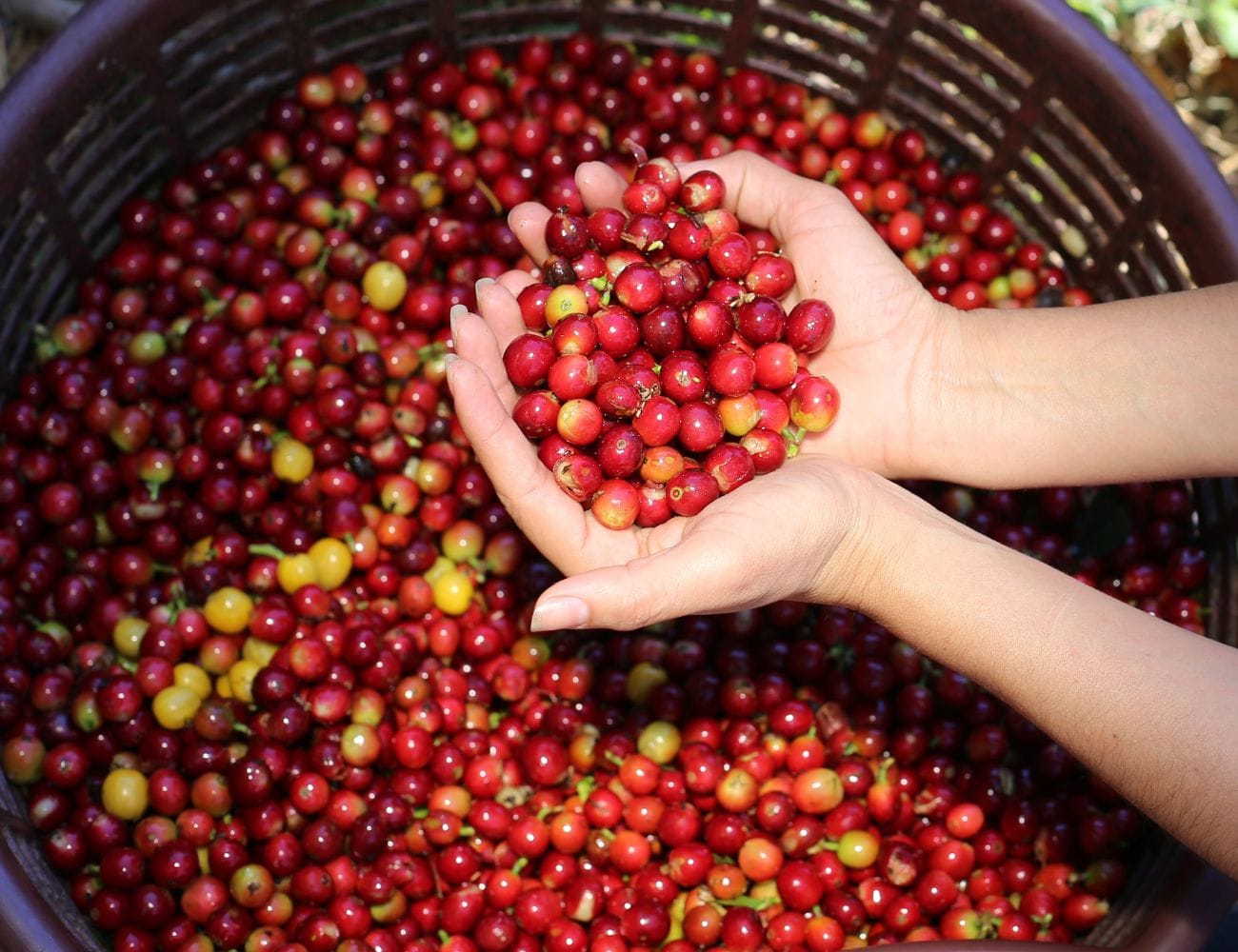 News from Costa Rica News from Costa Rica