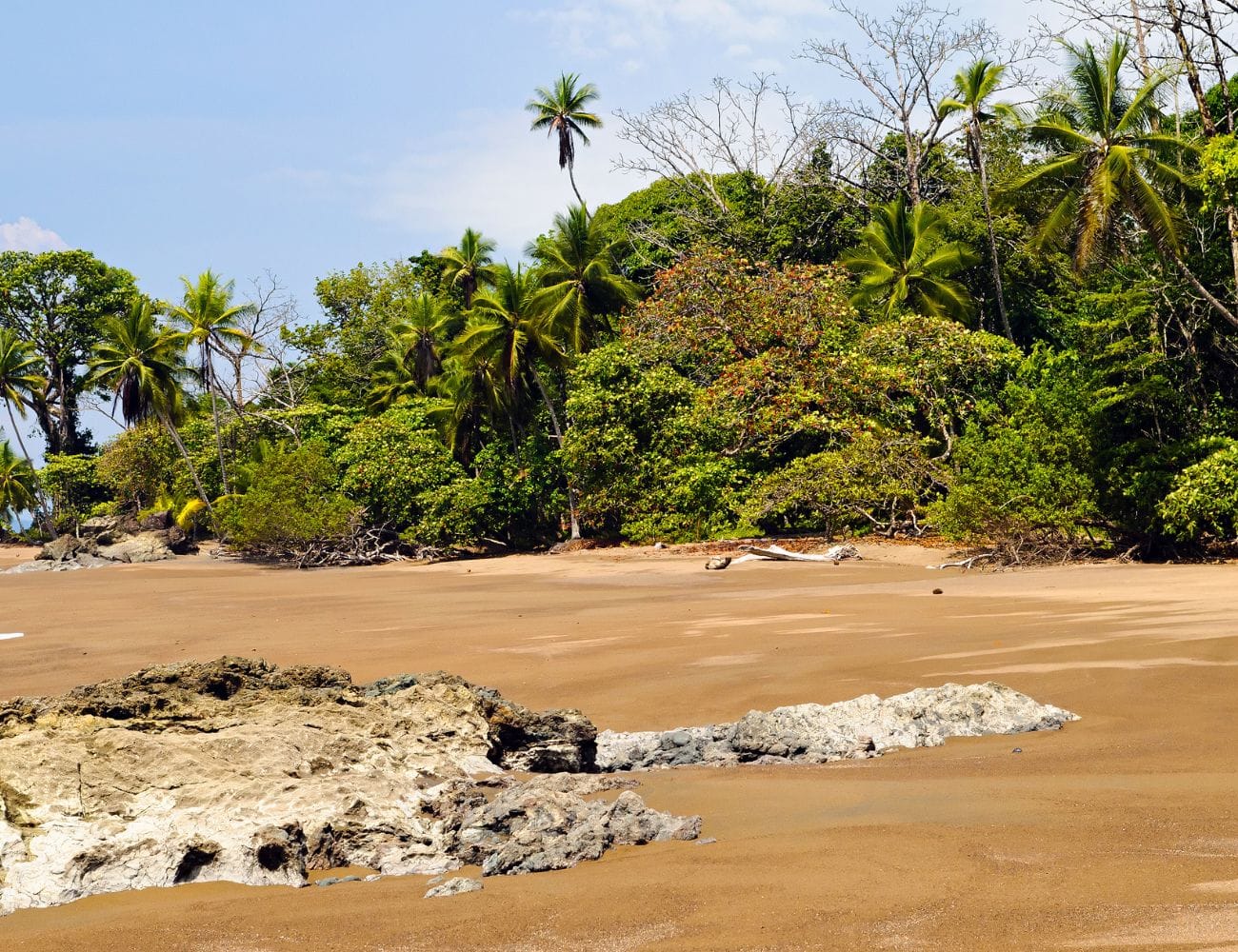 Costa Rica figura en la lista de los mejores destinos de la BBC para 2026.