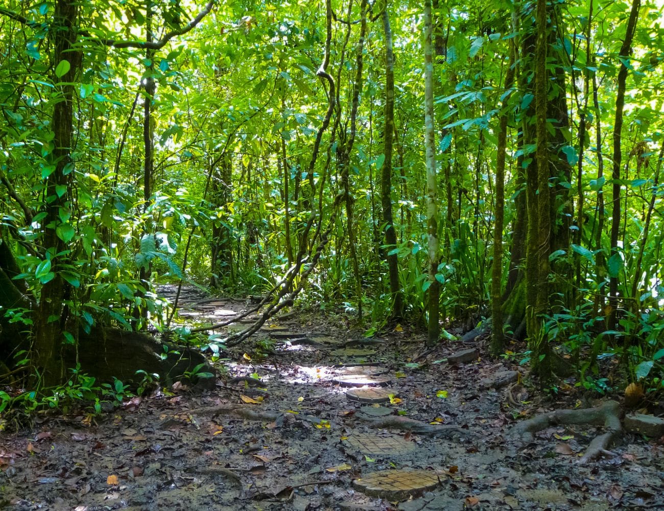 Costa Rica figura en la lista de los mejores destinos de la BBC para 2026.