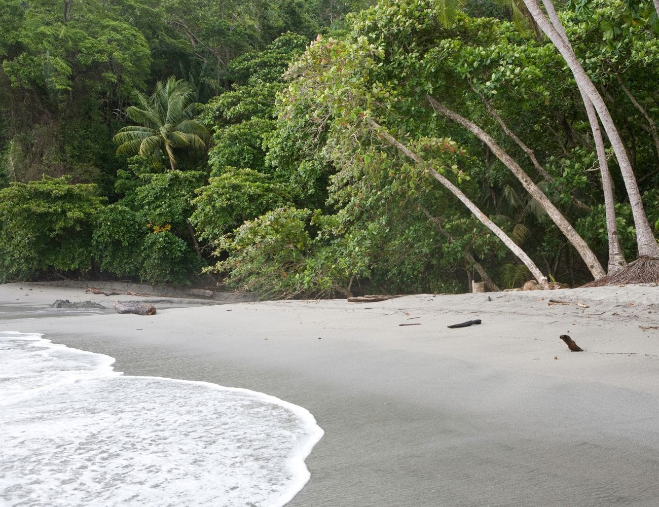 Manuel Antonio in High Season _ Manuel Antonio in HIgh Season